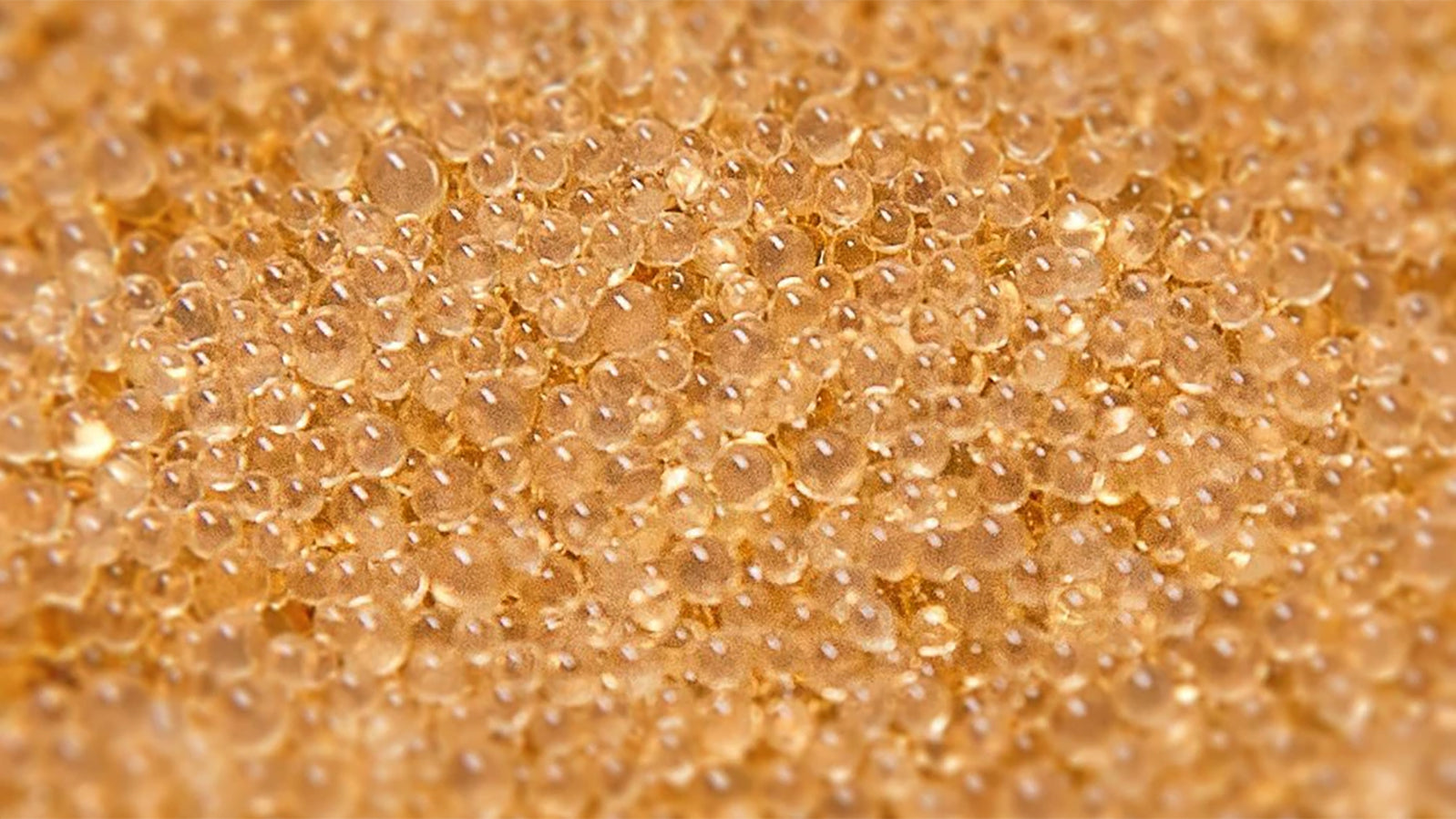 Ultimate Guide to Water Softener Resins