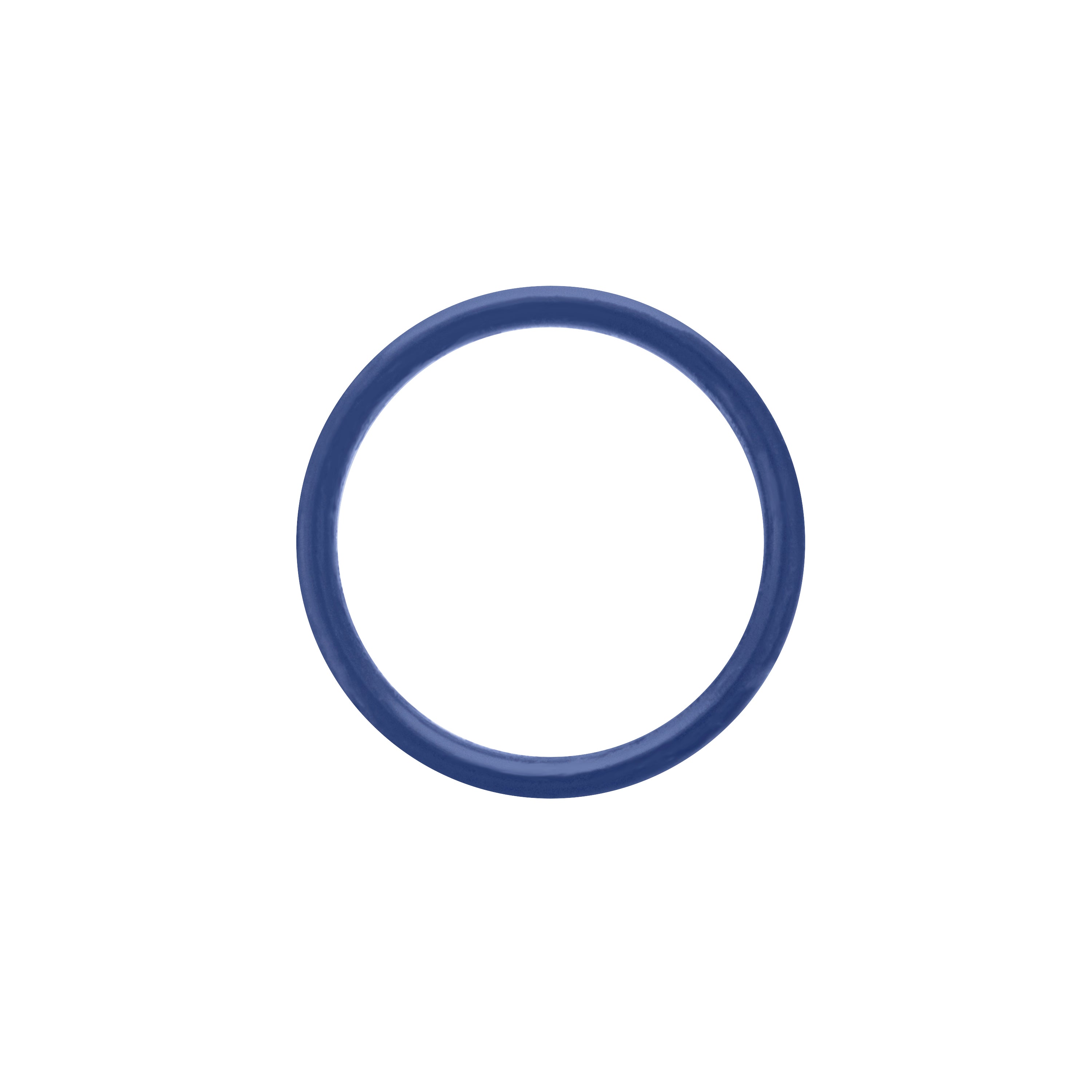Blue Replacement Washer - Fortitude Pro Manual Valve