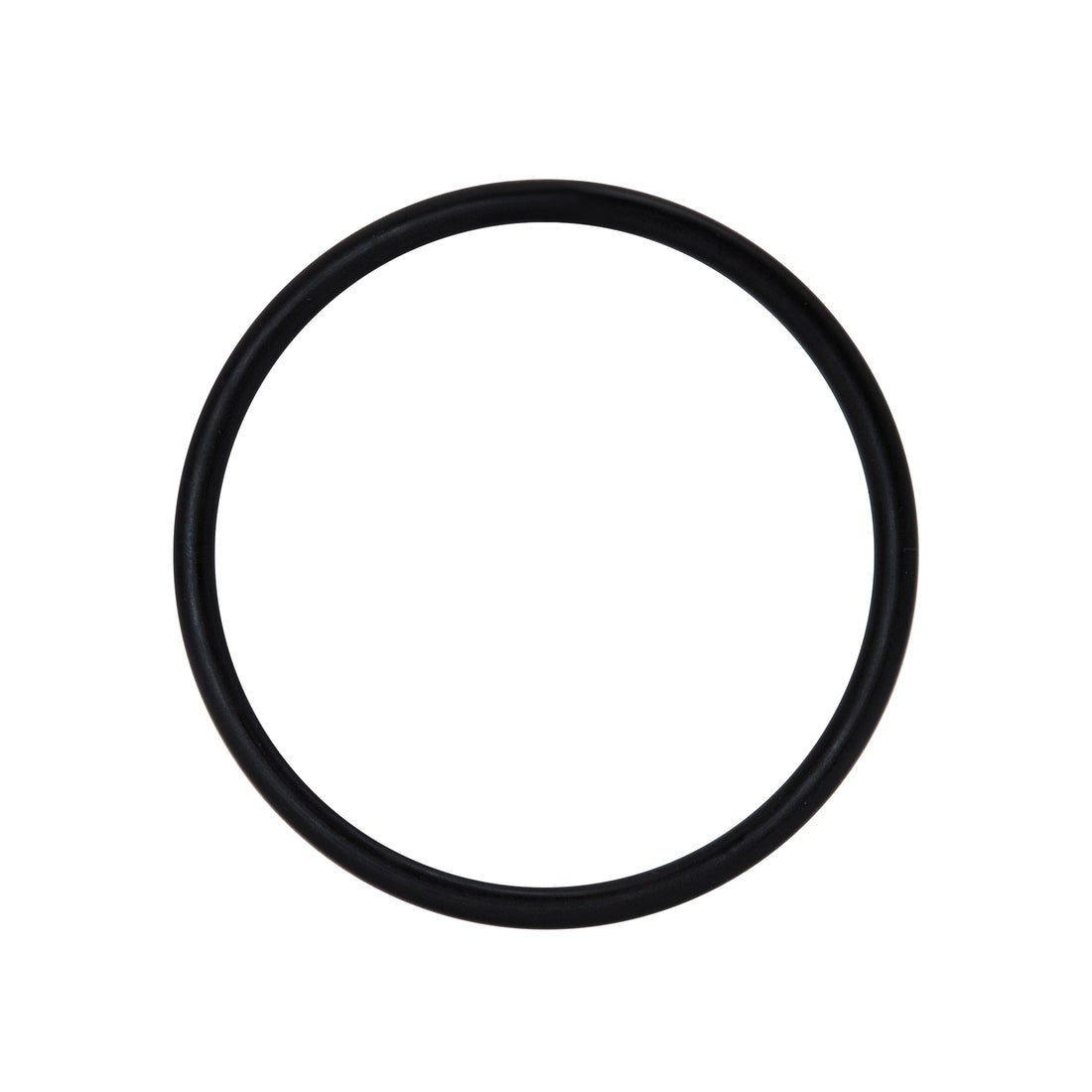 AP-MT-ORING-L - 2.5 in media tank opening o-ring