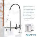 Premier Advanced 4-Stage Reverse Osmosis Water Filtration System with Alkaline Remineralizing Filter, 75 GPD
