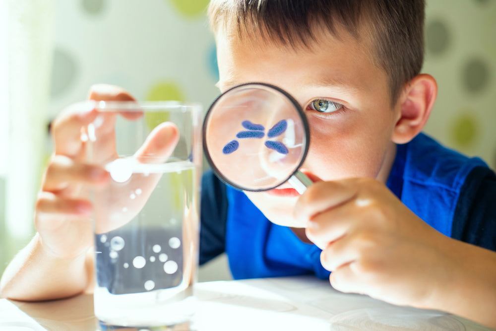 Is E. Coli in Your Water a Cause for Concern? Can an RO or UV System Provide Peace of Mind?