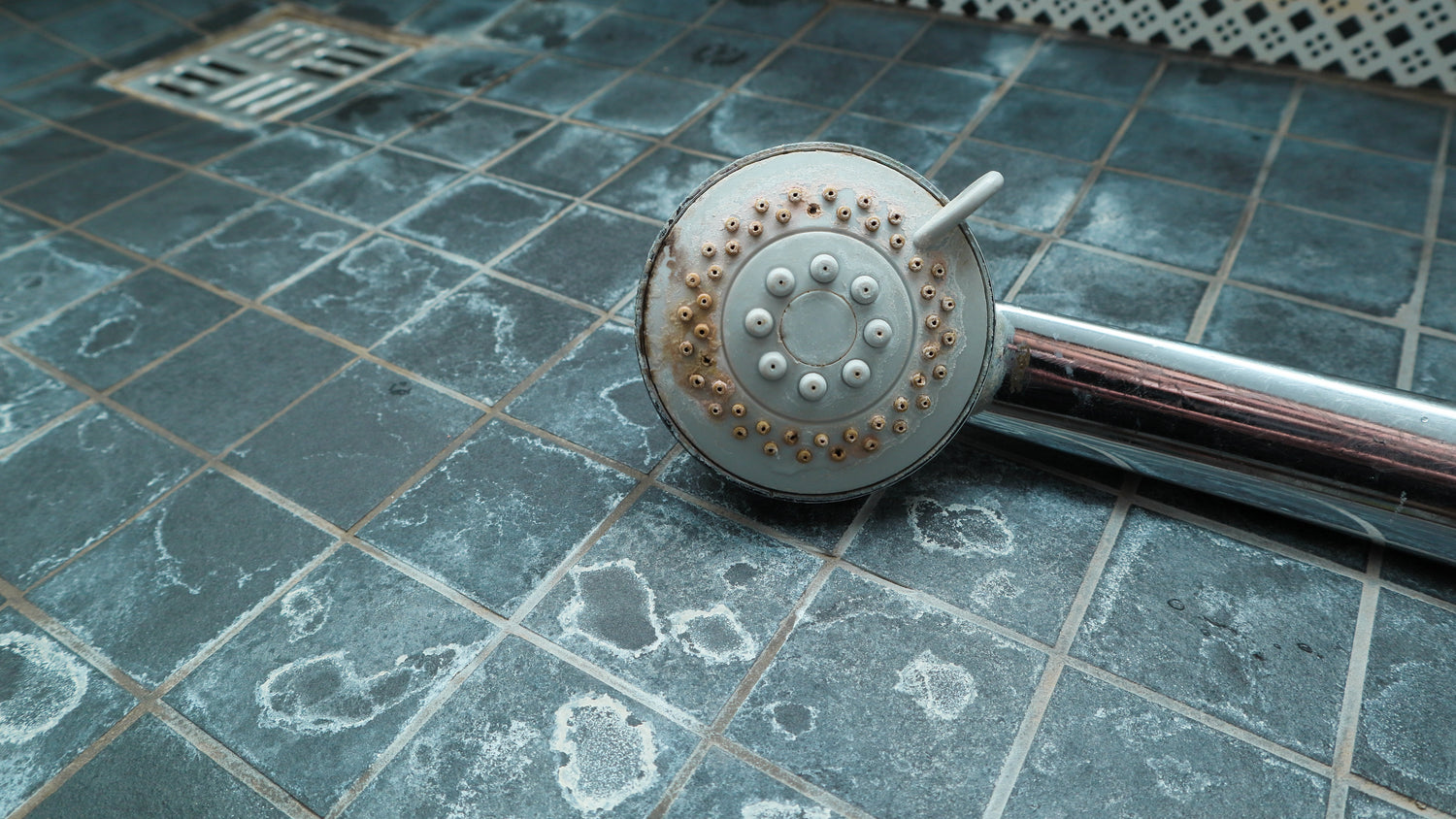 Dirty chrome shower head on a shower tile floor, both with hard water scale buildup