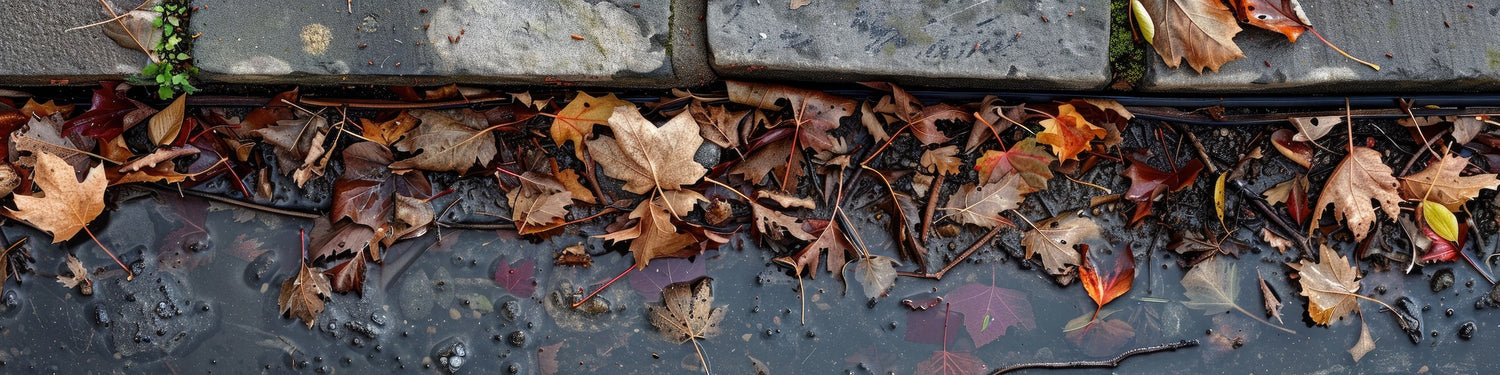 Best Whole Home Water Filtration for Fall Comfort