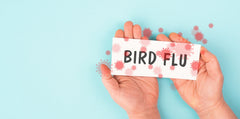 Urgent: Bird Flu Detected in Water—Don’t Drink Until You Read This!
