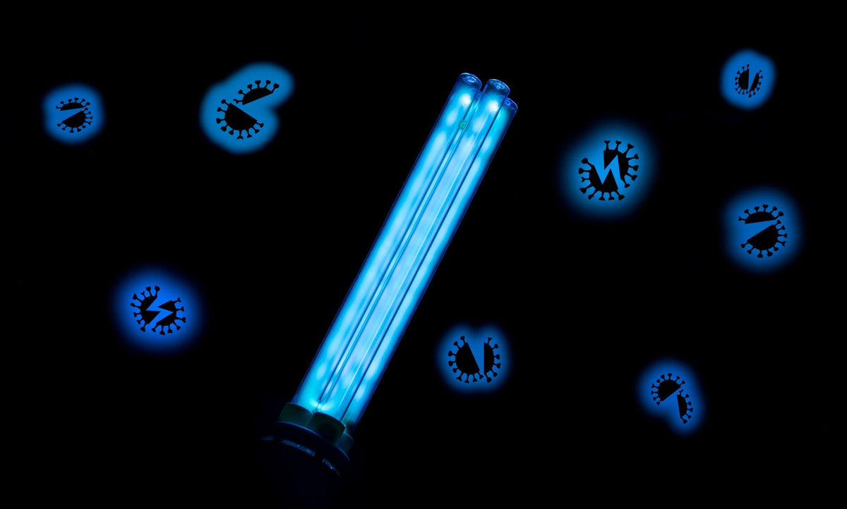 visual of how uv light affects microorganisms