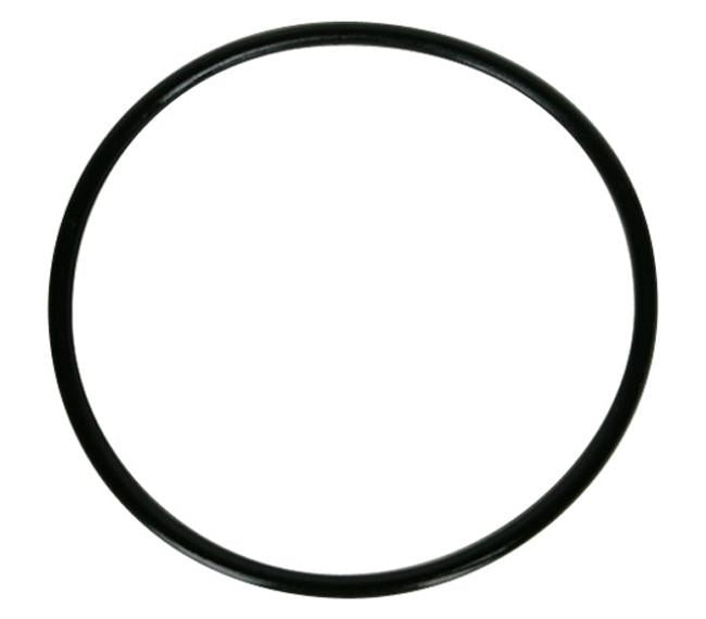 Aquasure Fortitude Series Replacement O-Ring